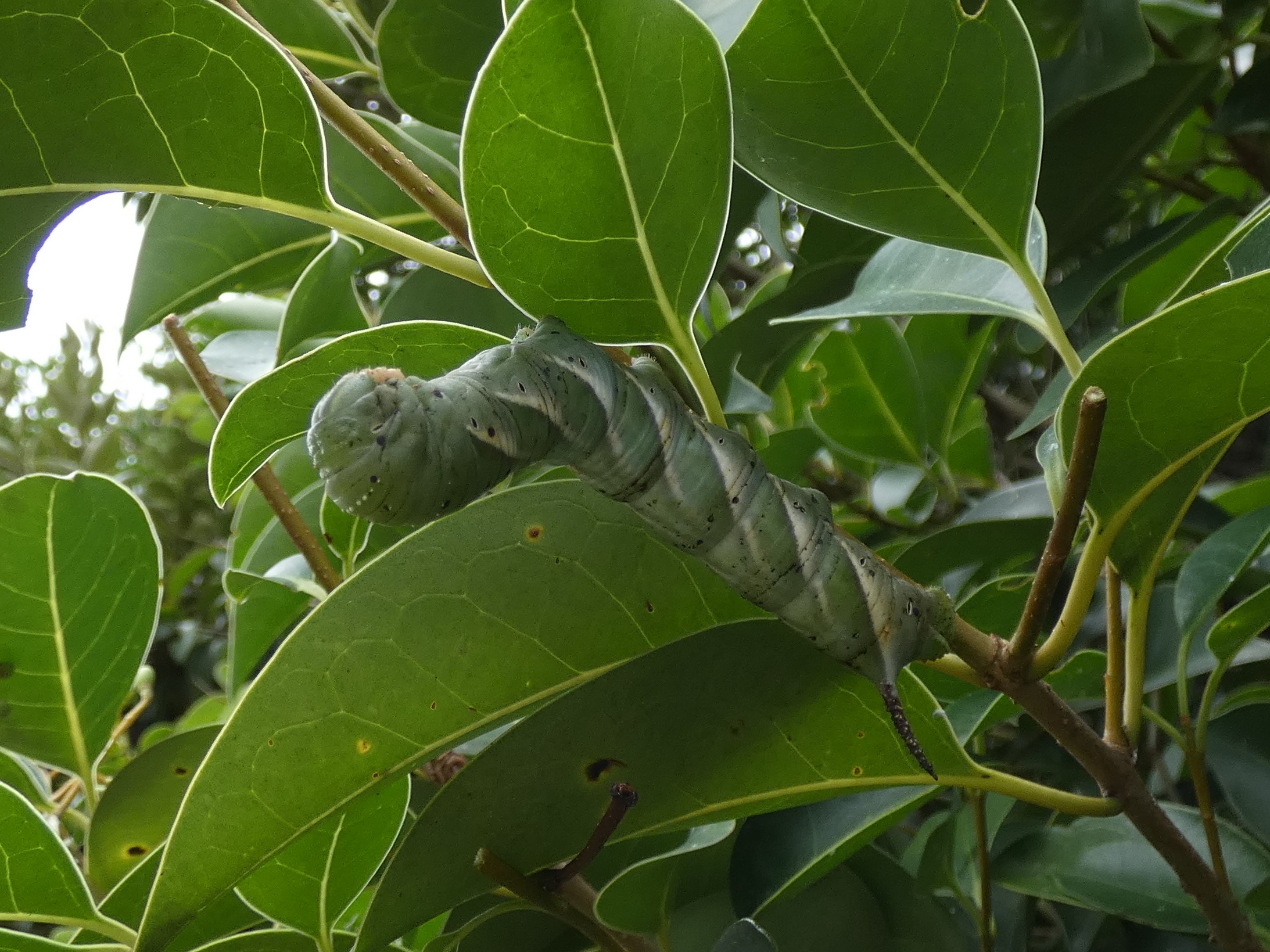 photo_2